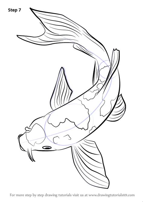 koi carp drawing|step by koi fish drawing.